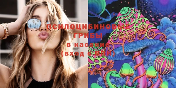 стаф Алексеевка