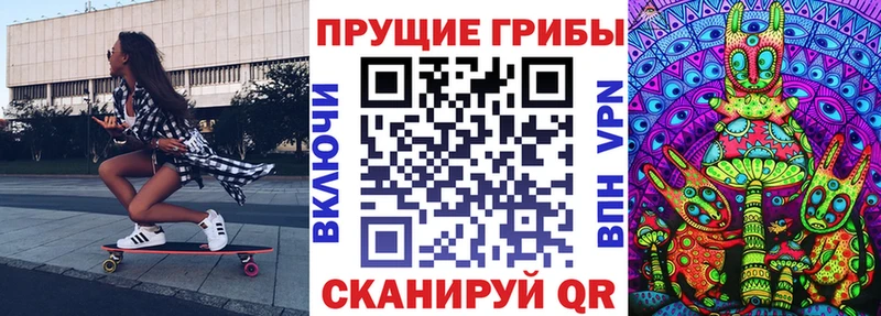 дарнет шоп  Катав-Ивановск  Псилоцибиновые грибы мухоморы 